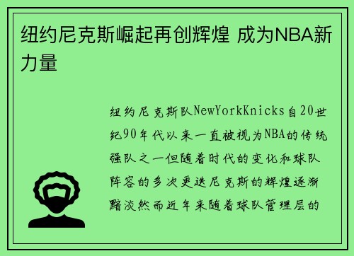 纽约尼克斯崛起再创辉煌 成为NBA新力量